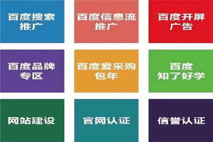 SEM代运营机构案例分析：优化策略详解